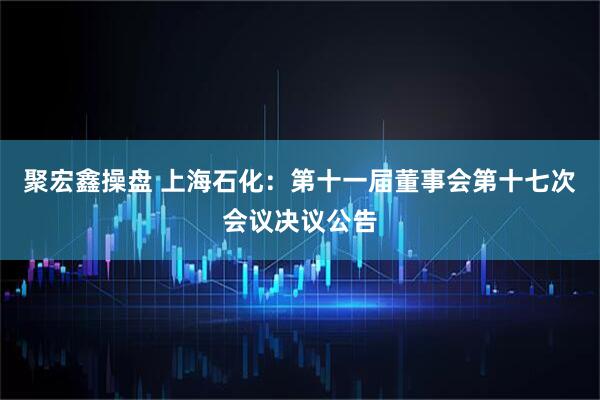 聚宏鑫操盘 上海石化：第十一届董事会第十七次会议决议公告