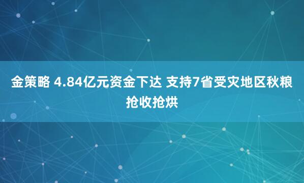 金策略 4.84亿元资金下达 支持7省受灾地区秋粮抢收抢烘